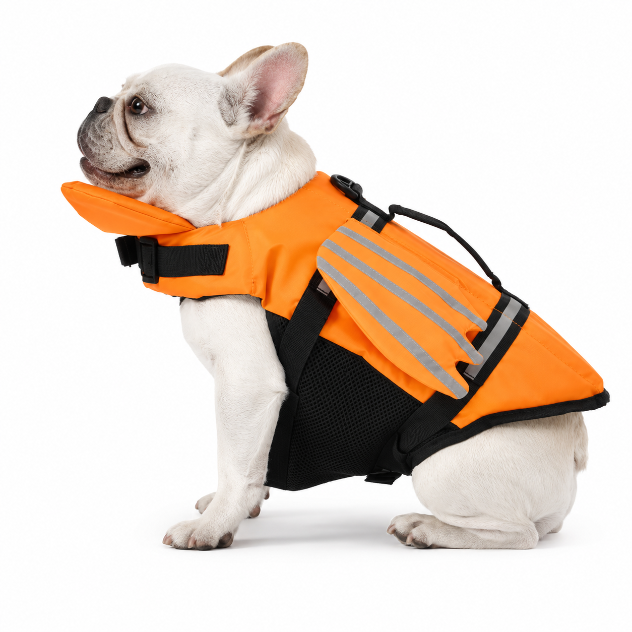 Chaleco Flotante NordPaw™