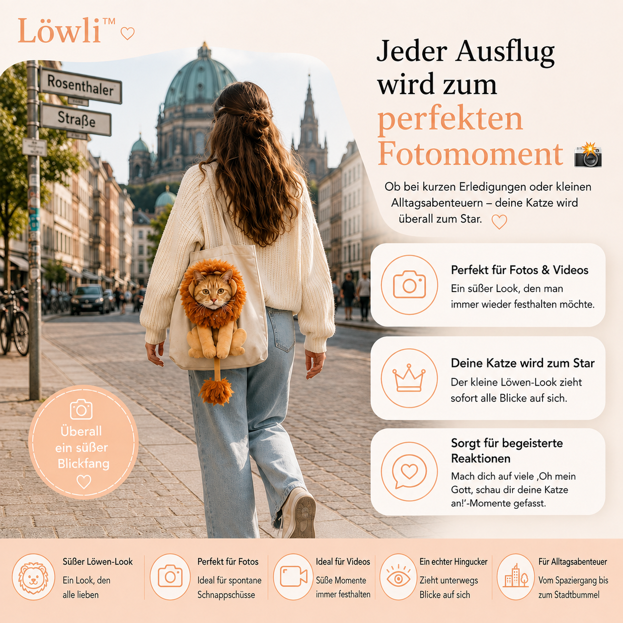 Löwen-Tragetasche für Katzen