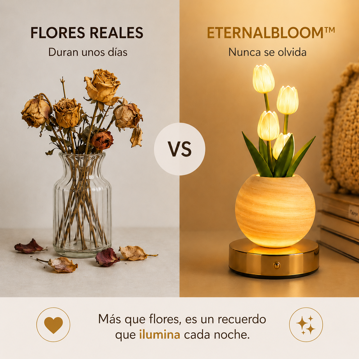 Flores Eternas Iluminadas